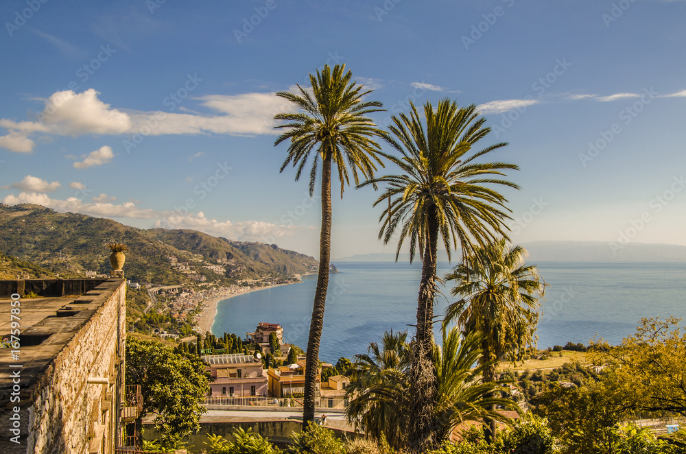 Palm trees constructions and Sicilian coast in the background