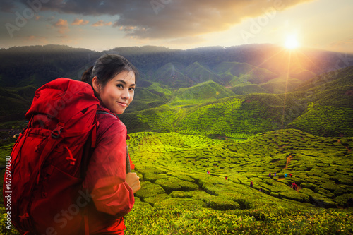 Asian lady backpack and travel the green tea plant in Cameron highlands photo