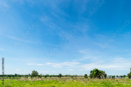 Blue sky and cloud with tree. landscape background. © Dai Yim