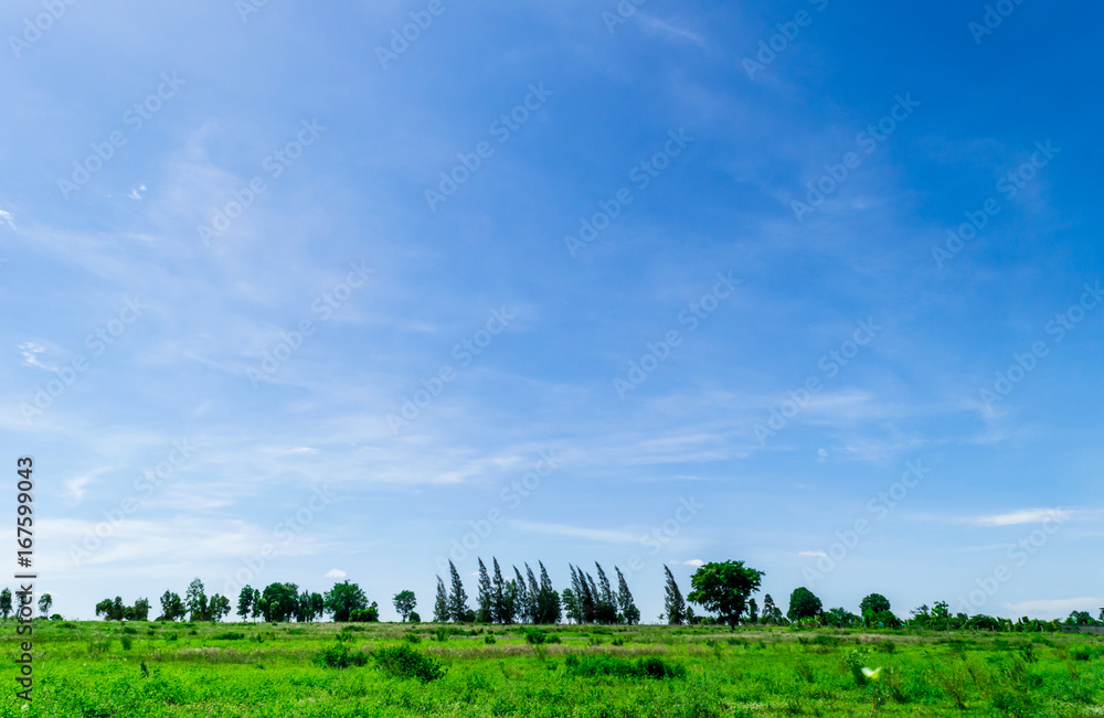 Blue sky and cloud with tree. landscape background. Blue sky and cloud with tree. landscape background.