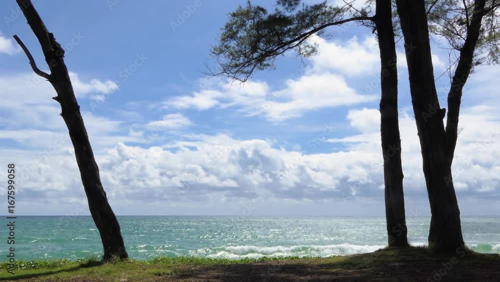 Pine trees along the sea with bright green sea and beautiful sky clouds at Karon beach Phuket Thailand