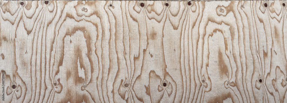 Wood Plywood Background