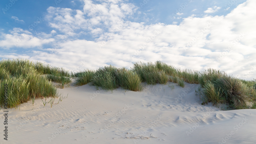 custom made wallpaper toronto digitalDünenlandschaft auf Insel Borkum. Nordsee Ostfriesland.