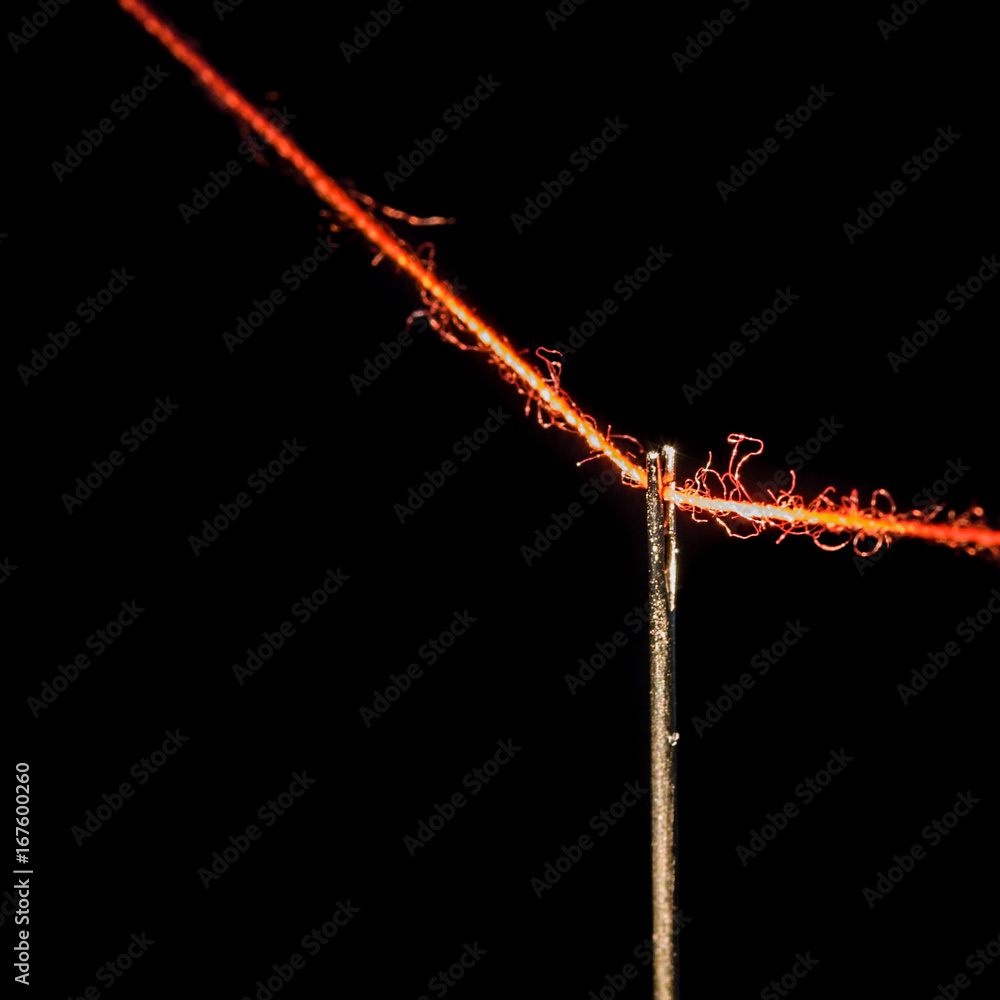 Fototapeta premium Thread The Needle