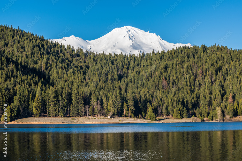 View of snowcapped Mount Shasta peaks with Alpine Forest on mountain by Siskiyou lake
