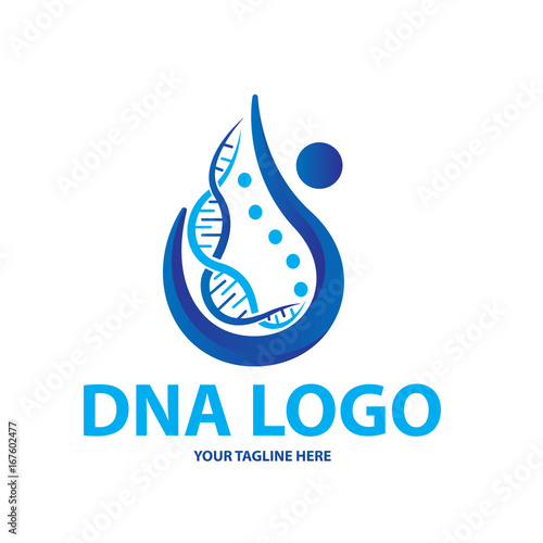 spine dna