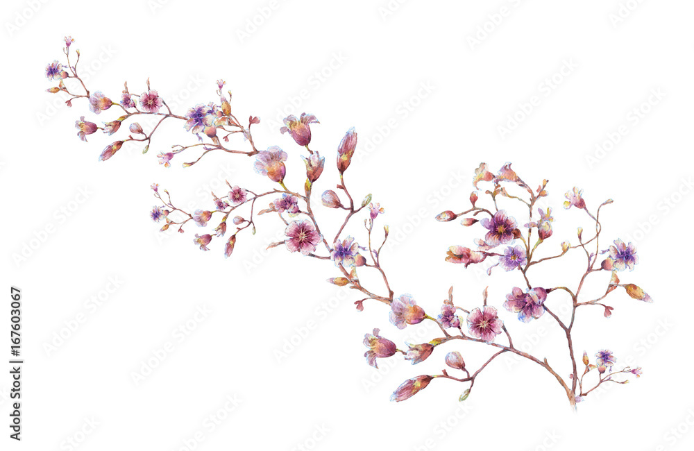 Fototapeta premium watercolor painting of leaves and flower, on white background