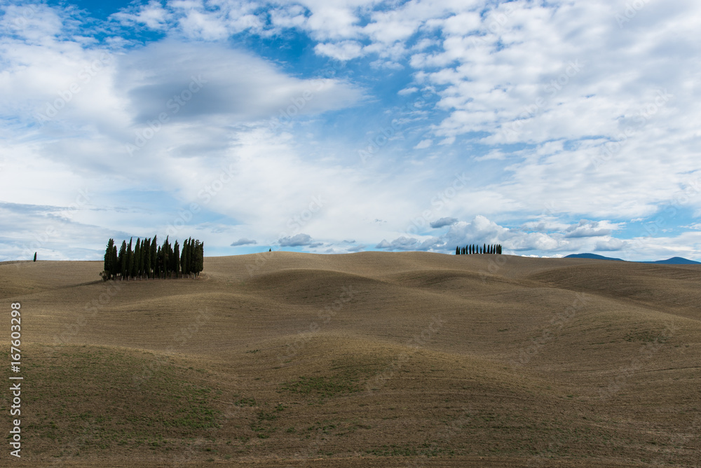 Obraz premium Wszystko