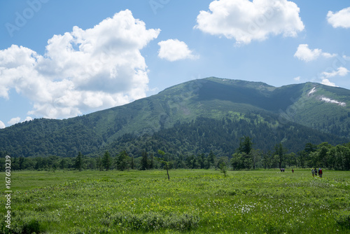 草原と至仏山