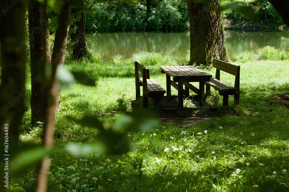 parco: zona pic-nic sulla riva del fiume parco: zona pic-nic sulla riva del fiume