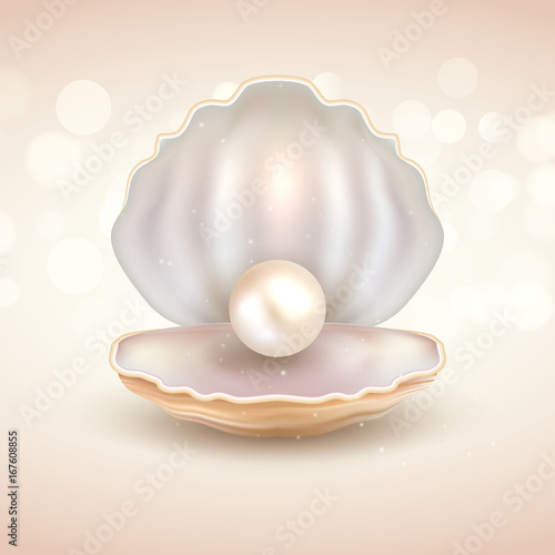 Pearl open shell realistic illustration. Natural beautiful single pearl sea jewelry