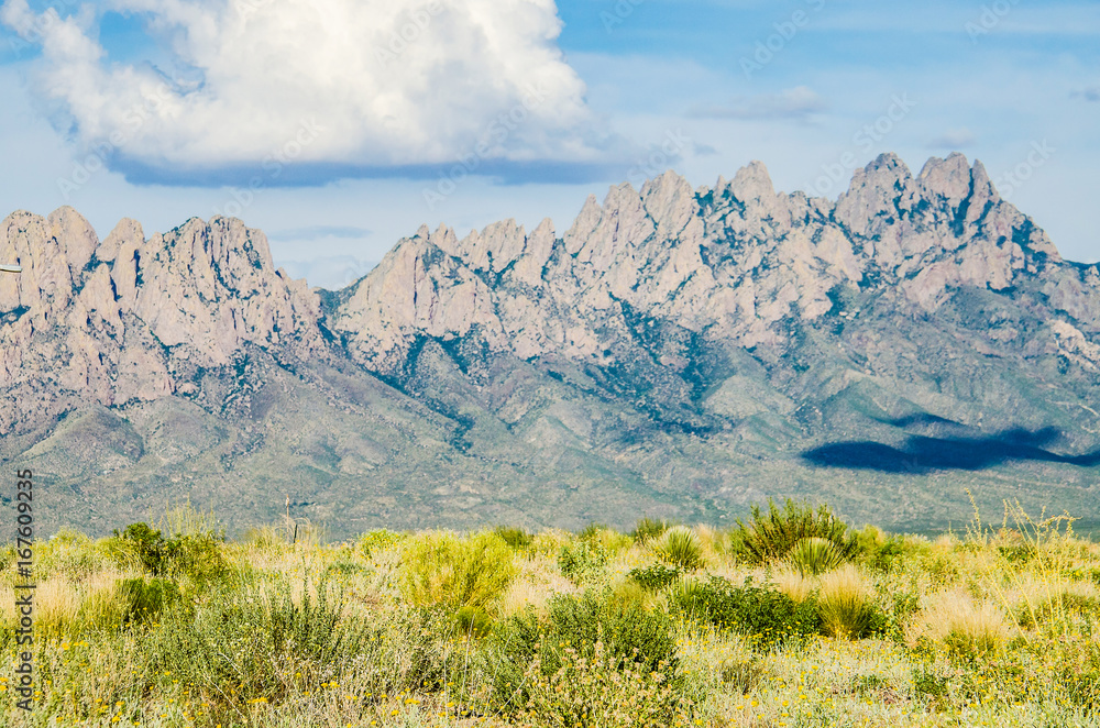 Organ Mountains with a large solitary cloud overhead in Las Cruces, New Mexico
