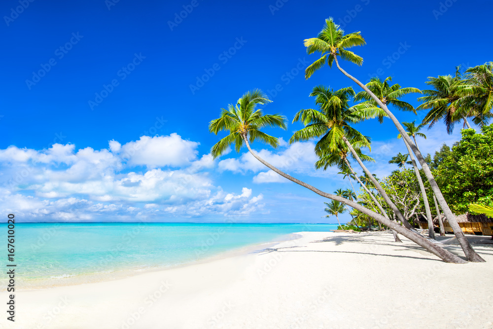 Sommer, Sonne, Strand und Meer im Urlaub Stock-Foto | Adobe Stock