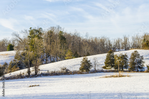 Wallpaper Mural Meadow hill covered in winter snow in Virginia Torontodigital.ca