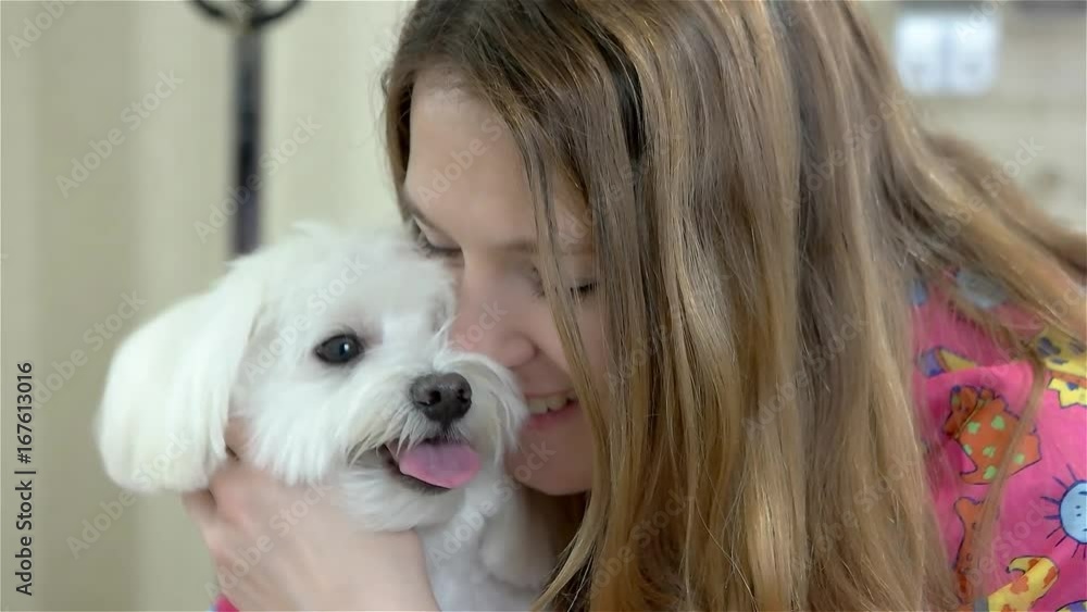 Smiling woman and yorkshire terrier. Happy female with a dog. Benefits of having a pet. Smiling woman and yorkshire terrier. Happy female with a dog. Benefits of having a pet.