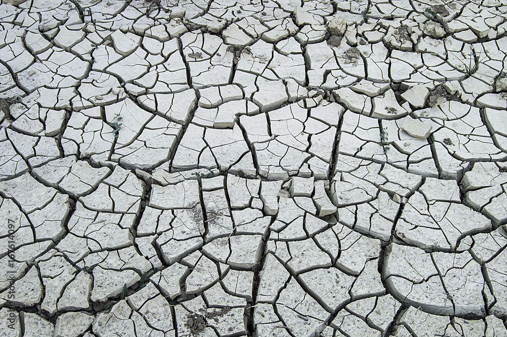 The breakdown of the soil from thirst, the formation of drought after the end of the heat, the damage to the environment of the drought,
The breakdown of the soil from thirst, the formation of drought after the end of the heat, the damage to the environment of the drought,