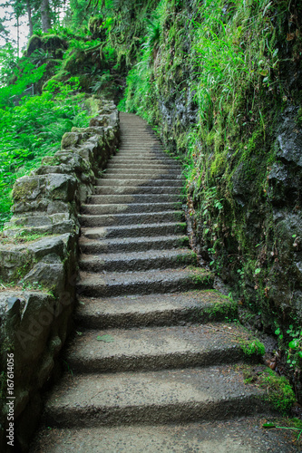 Green Stairway