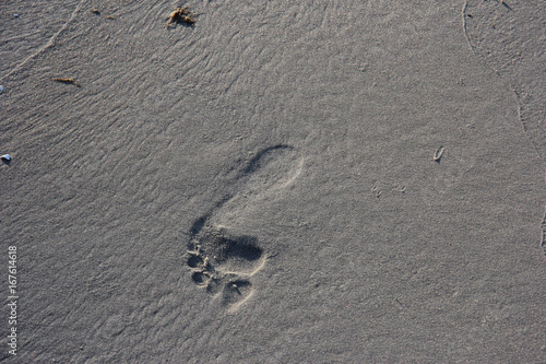 Sand,Strand