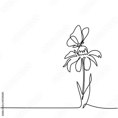 Beautiful flower Echinacea with butterfly. Continuous line drawing. Vector illustration © Valenty