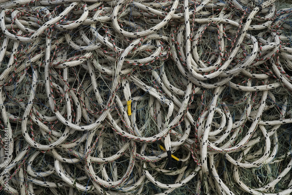 The fishing net