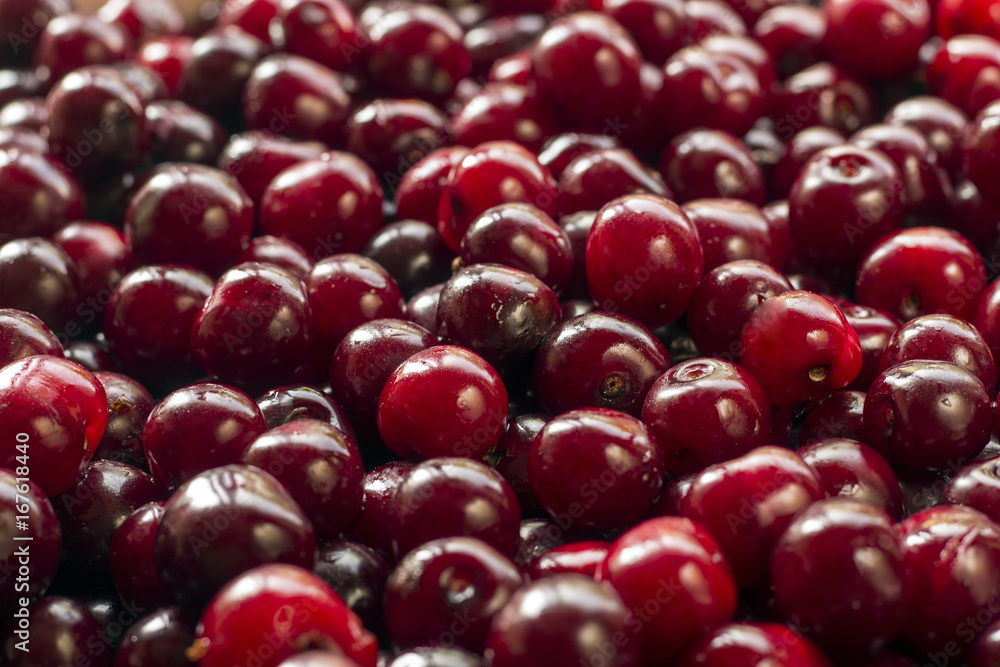 cherry background cherry background