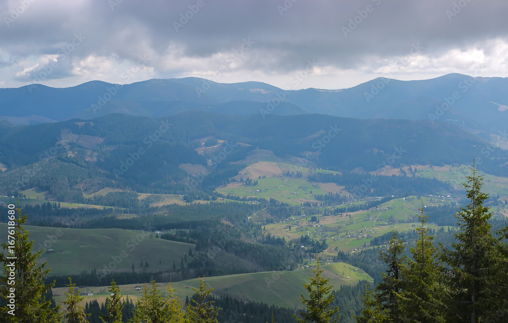 Fototapeta premium Spring landscape in the Carpathian mountains