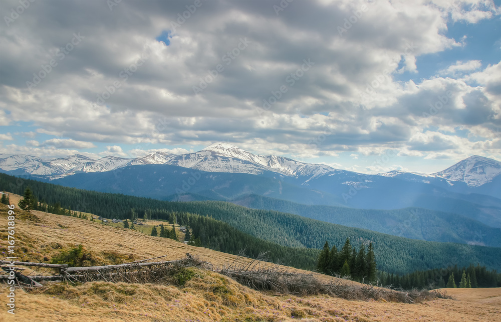 Spring landscape in the Carpathian mountains