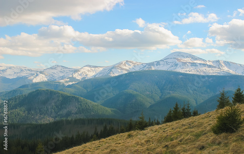 Spring landscape in the Carpathian mountains