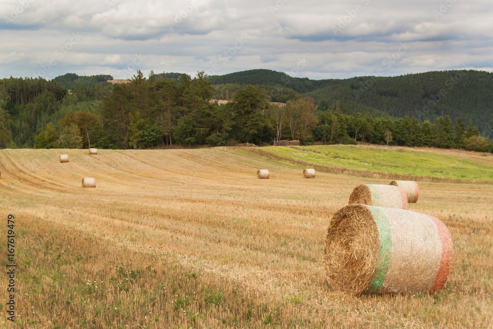 Dry straw packages in a field in the Czech Republic. Agricultural landscape. Overcast day.
