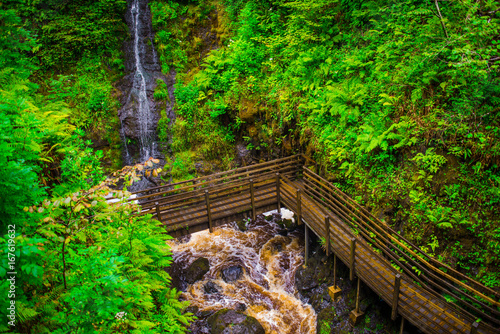 Waterfall Trail at Glenariff Forest Park, Co. Antrim. Hiking in Northern Ireland. Causeway Coastal Route. © Lyd Photography