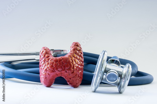 Thyroid gland near the stethoscope as a symbol of a health of organ, care, diagnostics, medical testing, treatment and prevention of diseases and pathology of thyroid as endocrine organ concept photo