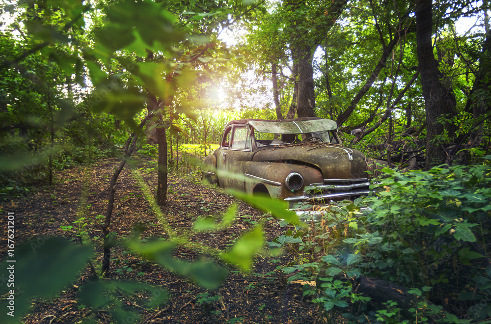 Forgotten - Car in Woods Forgotten - Car in Woods