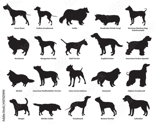 Set of dogs silhouettes-2
