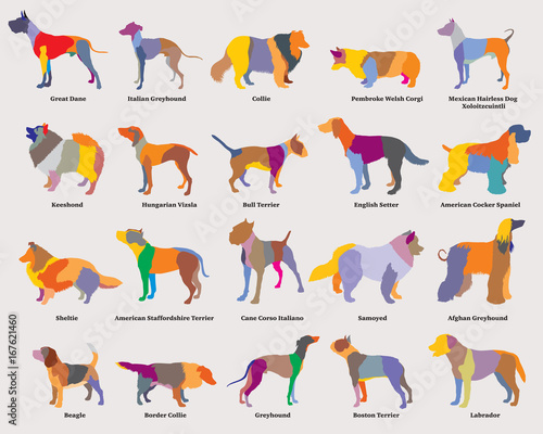 Vector set of colorful mosaic dogs silhouettes-2