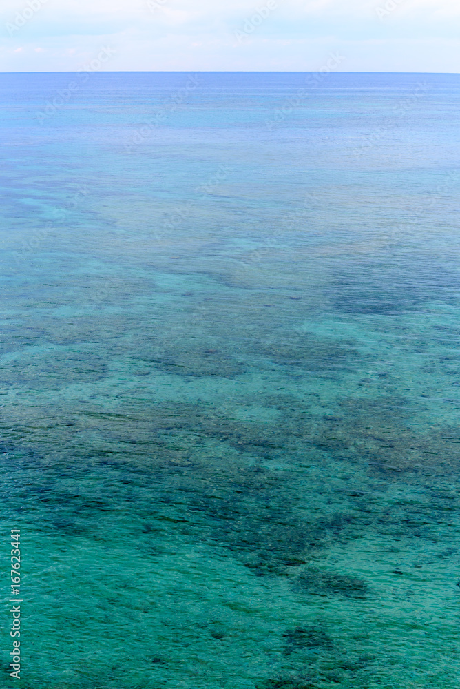 Fototapeta premium 沖縄 八重山諸島 石垣島のサンゴ礁