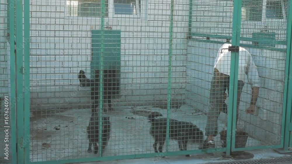 Cleaning time for kennel assistant Cleaning time for kennel assistant