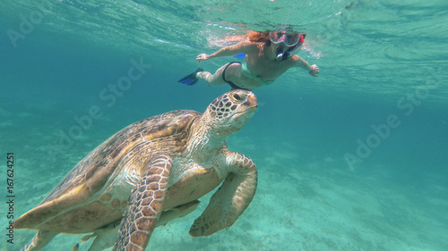 The girl is swimming next to the sea turtle. Red sea. Marsa Alam