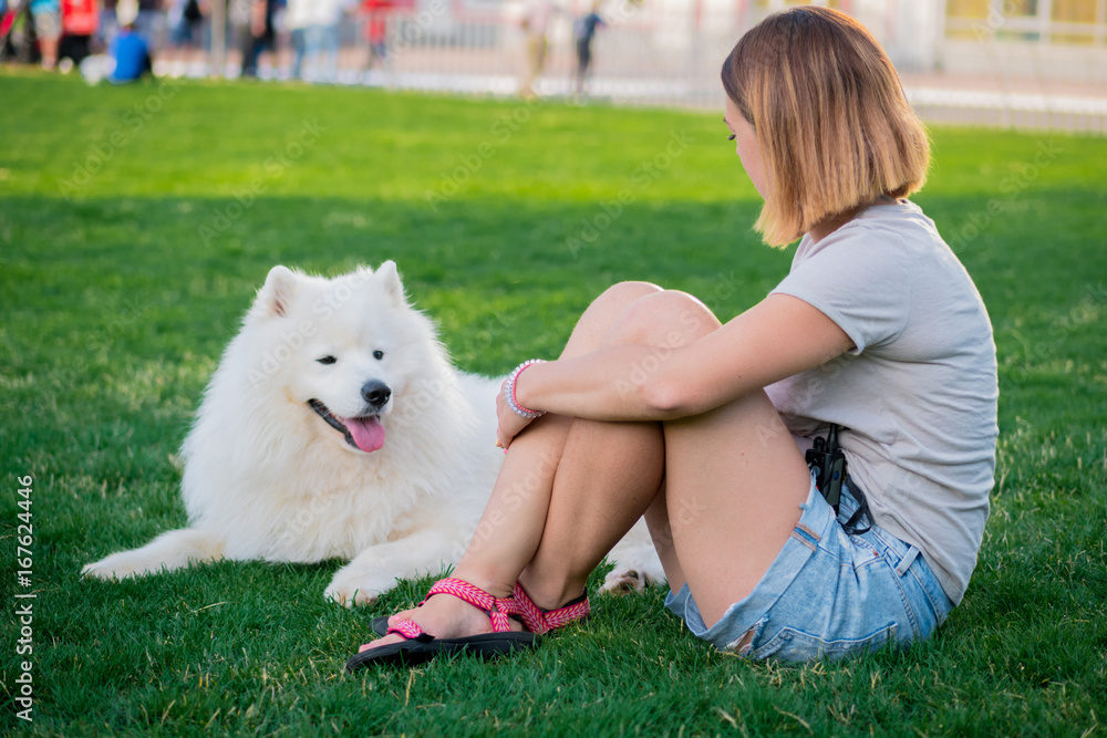 An adult woman with red hair plays and strokes her dog of the Samoyed breed. White fluffy pet in a park with mistress on a green lawn have fun. An adult woman with red hair plays and strokes her dog of the Samoyed breed. White fluffy pet in a park with mistress on a green lawn have fun.