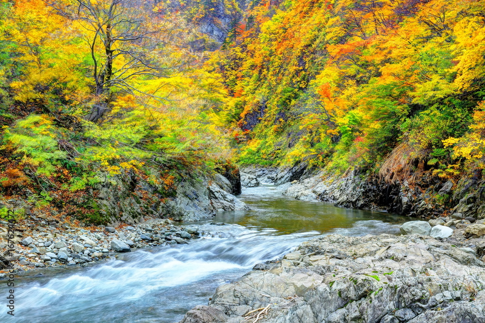 秋の清津峡