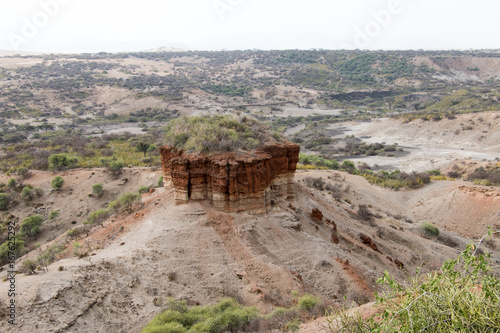 A scene of Olduvai Gorge