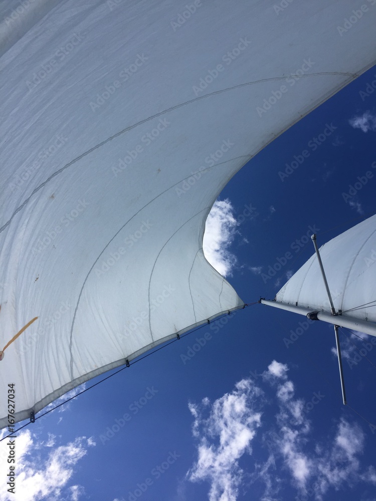 Looking Up at the Sails