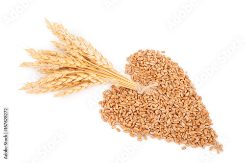 Heart of grains of wheat with spikelet