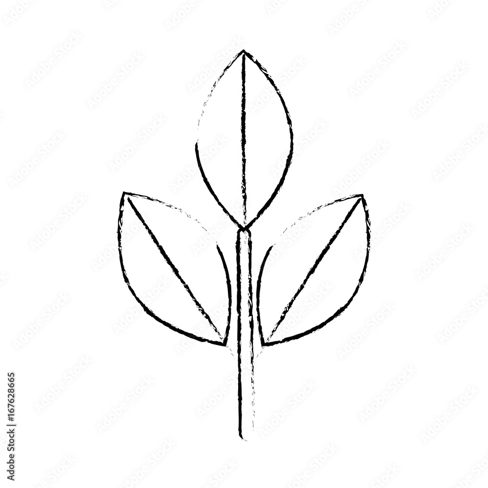Obraz premium leaves eco symbol