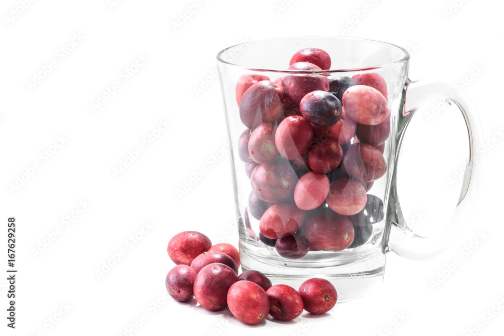 Berry is sour and astringent properties medicinal Berry is sour and astringent properties medicinal