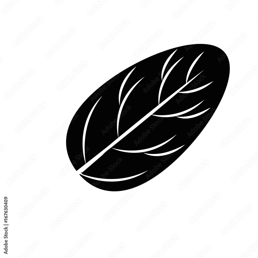 spinach leaf icon spinach leaf icon