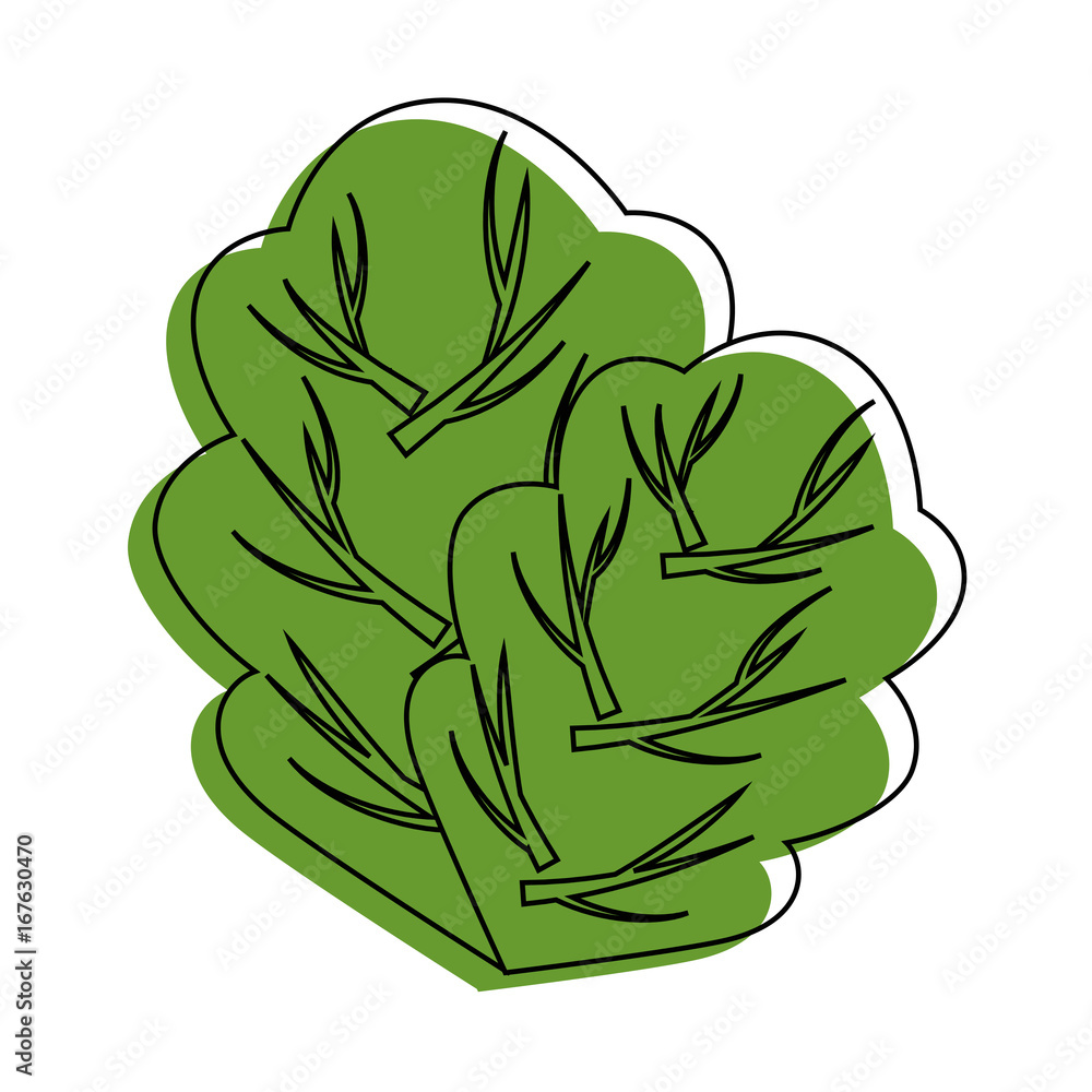 Obraz premium spinach leaf icon