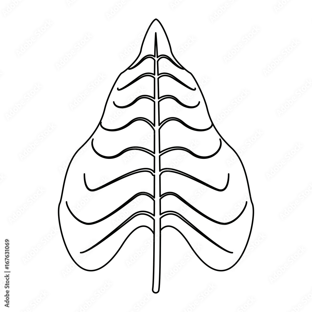 tropical leaves jungle big isolated on white background vector illustration tropical leaves jungle big isolated on white background vector illustration