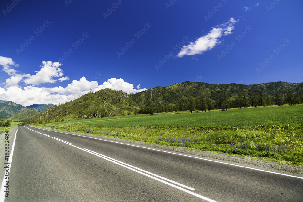 Naklejka premium Asphalt road in the mountains of Altai