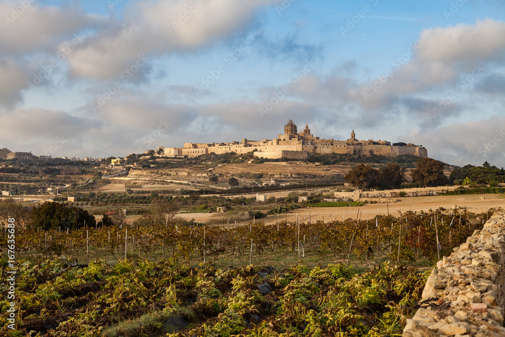 Ancient hilltop fortified by old capital city of Malta, The Silent City, Mdina or Rabat, skyline at sunrise.