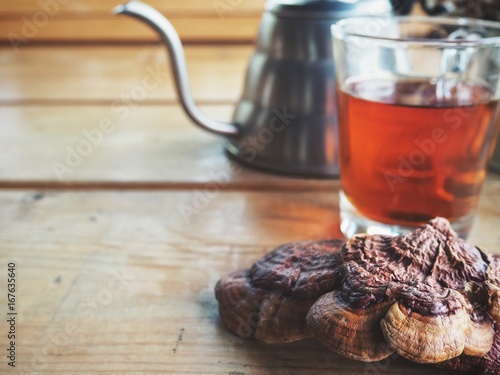 Ganoderma lucidum tea - Ling zhi mushroom photo